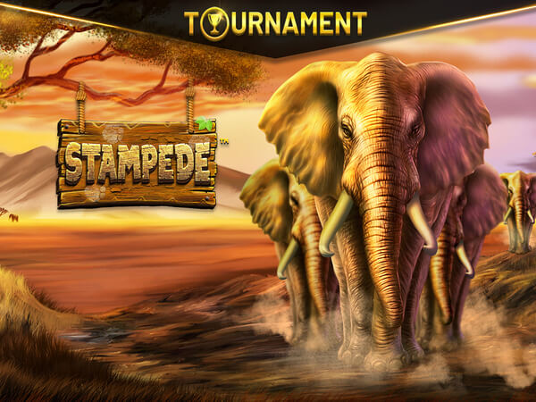 Gremio vs aimore